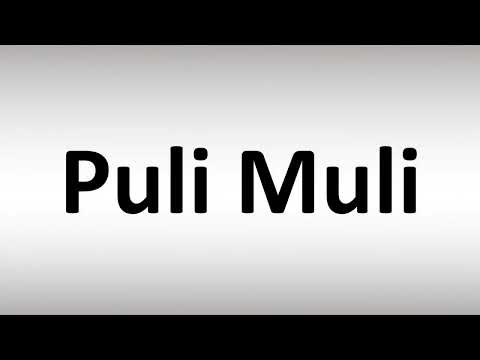 How to Pronounce Puli Muli