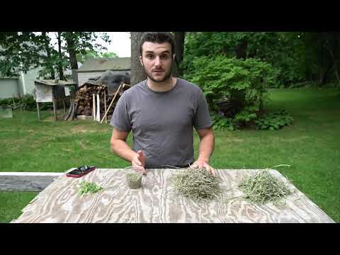 Feeding Meat Rabbits Pt. 1: Overview of Rabbit Feeds, and How to Feed Pellets