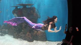 Download lagu Meet and Greet Mermaid at Jakarta Aquarium Indonesia mp3