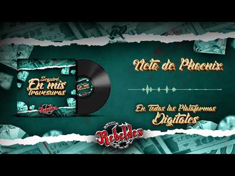 Los Nuevos Rebeldes – Neto De Phoenix (2024)
