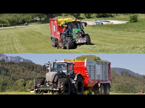 Lohnunternehmen Pertl im Einsatz | 2. Grünfutter schnitt 2022 einfahren