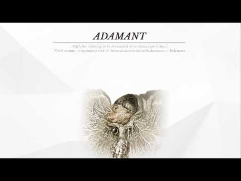 andre ViaMonte - Adamant