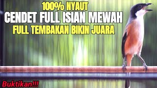 Download lagu MASTERAN BURUNG CENDET FULL TEMBAKAN mp3