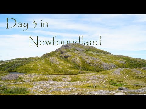 Day 3 in Newfoundland | Highest Point in eastern Newfoundland | Centre Hill | DJI Mavic Pro
