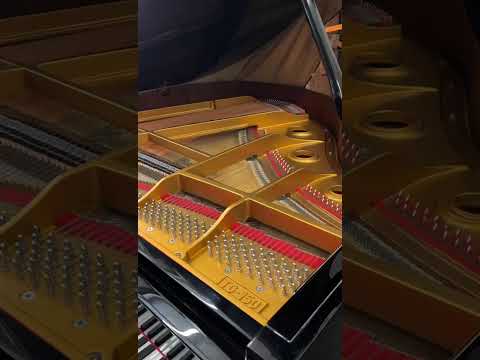 Bergmann Baby Grand Piano – 5' – Polished Ebony image 7