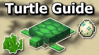 Everything You Need to Know About Turtles in Minecraft 1 19 Mp4 3GP & Mp3