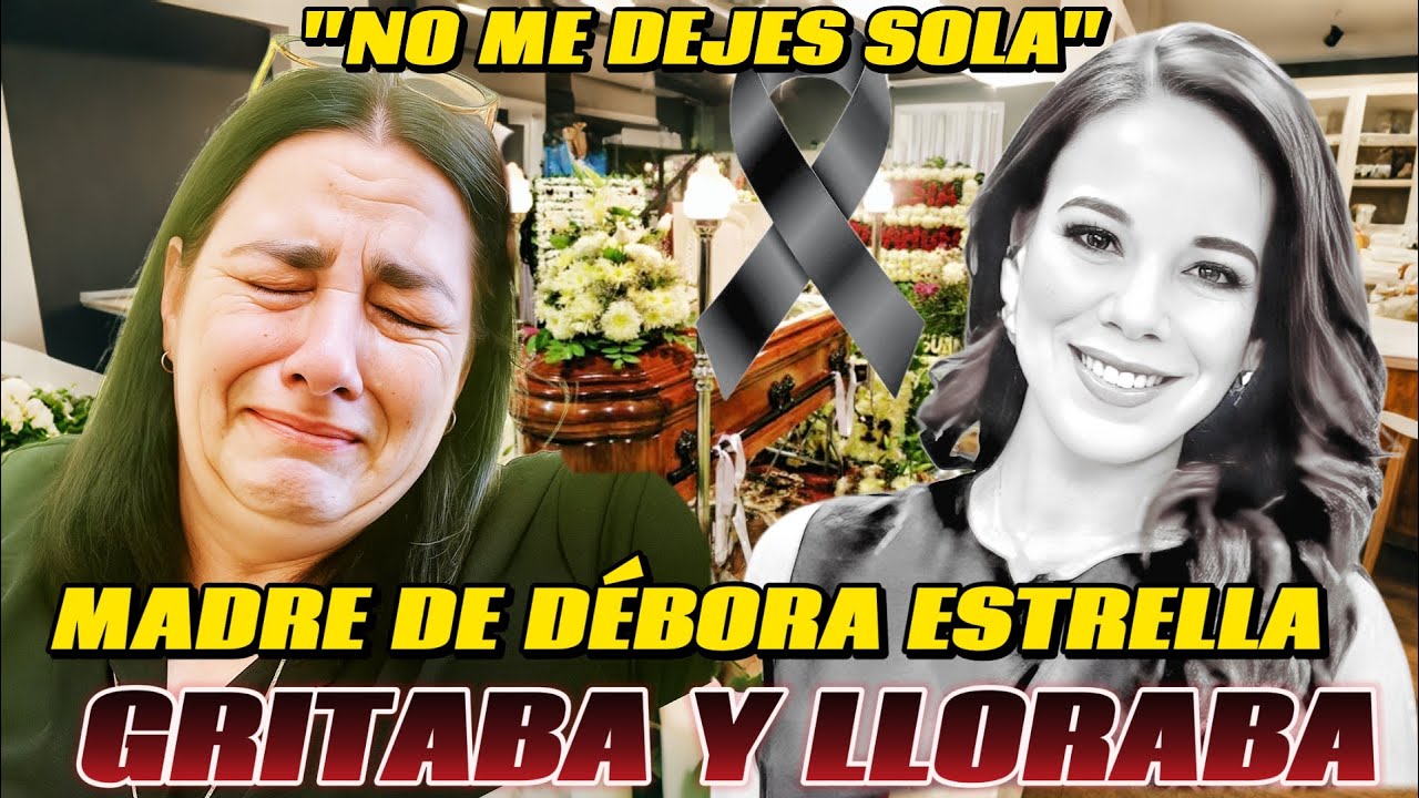 YouTube Thumbnail Downloader FULL HQ IMAGE