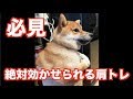 本当は教えたくない【誰でも簡単に効かせられる】肩のフロントを強烈に追い込む方法教えます