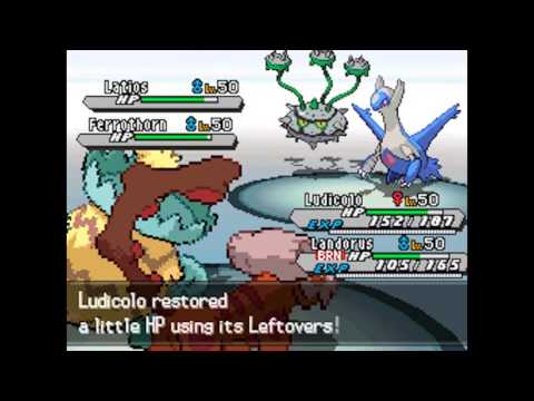 VGC 2013: Duy vs Erik Holmstrom