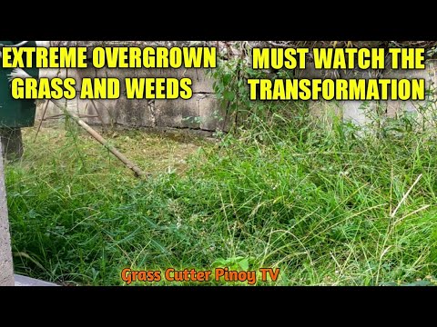 CUTTING OR TRIMMING THE EXTREME OVERGROWN GRASS AND WEEDS USING BRUSH CUTTER / GRASS CUTTER