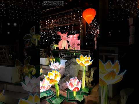 北區公園花燈會,元宵節必去 | Lantern Festival #花燈會 #北區公園