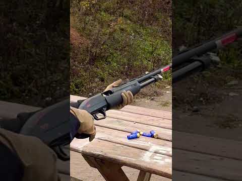 Best Pump Shotgun for the $? Winchester SXP 12ga Pump Shotgun Review