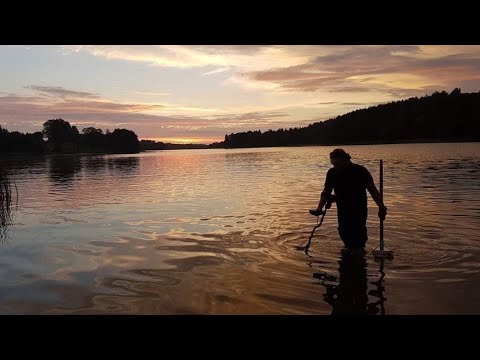 Słodkowodny śledz 😁👍