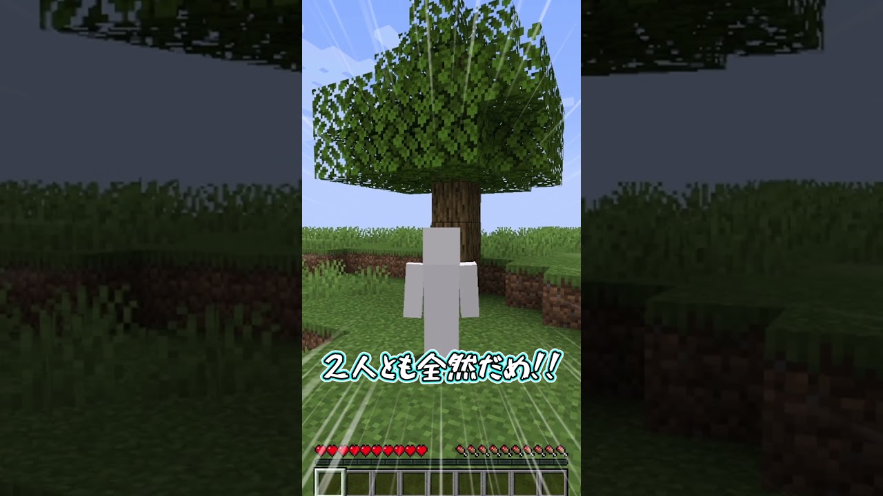 【霊夢vs魔理沙】同じブロックに触れてはいけない世界のプレイの違い！！【ゆっくり実況/ゆっくり茶番】【マインクラフト/マイクラ】#shorts