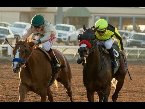 The Starlet Stakes (G1)  2018 -  Chasing Yesterday