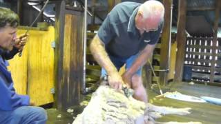 preview picture of video 'Ernie Shearing a Ram at the Jondaryan Woolshed'