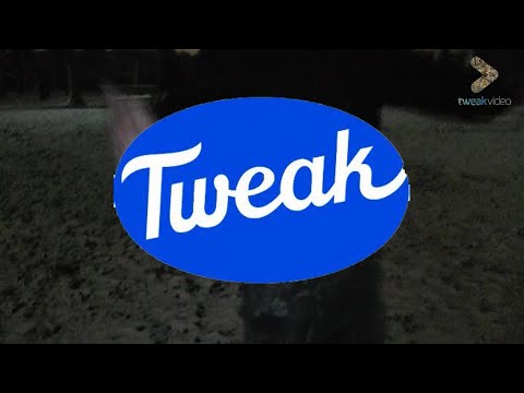 MLODYSPRZET&PROXYTM - SZATY KROLA (VID. @THIMULAY)