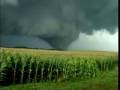 dead season thunder rolls 