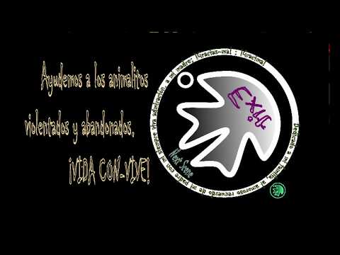 Inglés con Gracima(Full)
