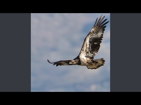 Duty (feat. Amiri Baraka)