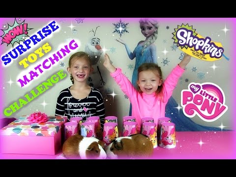 SURPRISE TOYS CHALLENGE * MATCHING GAME *Shopkins * My Little Pony * Care Bears & more