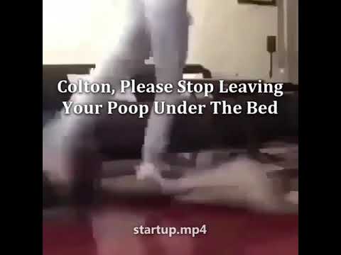 Ironic Meme (Rock and Roll McDonald's, Flight Reacts...