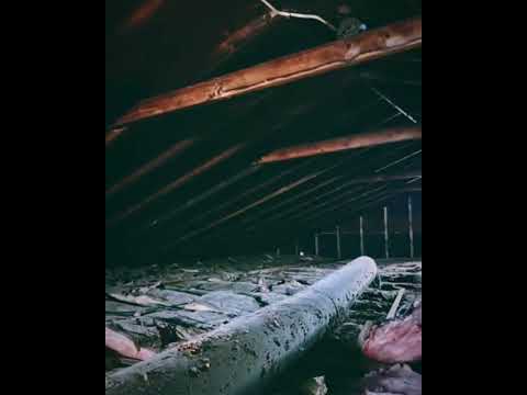 Densely Packed Cellulose in Fairlawn, OH