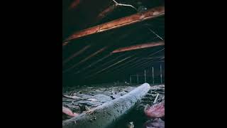 Watch video: Densely Packed Cellulose in Fairlawn, OH