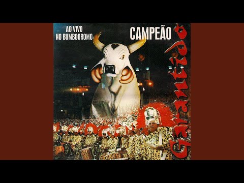 Sinhazinha da Fazenda (Ao Vivo)