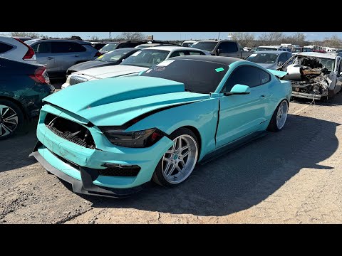 I Found This Crazy Mustang on Air Ride at IAA!