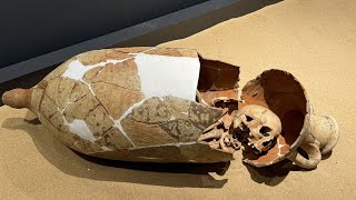 Antalya Nekropol Müzesi