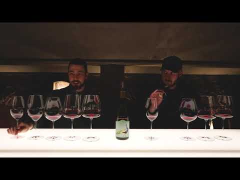 Riedel Stemware - Taste the Photosynthesis EP4