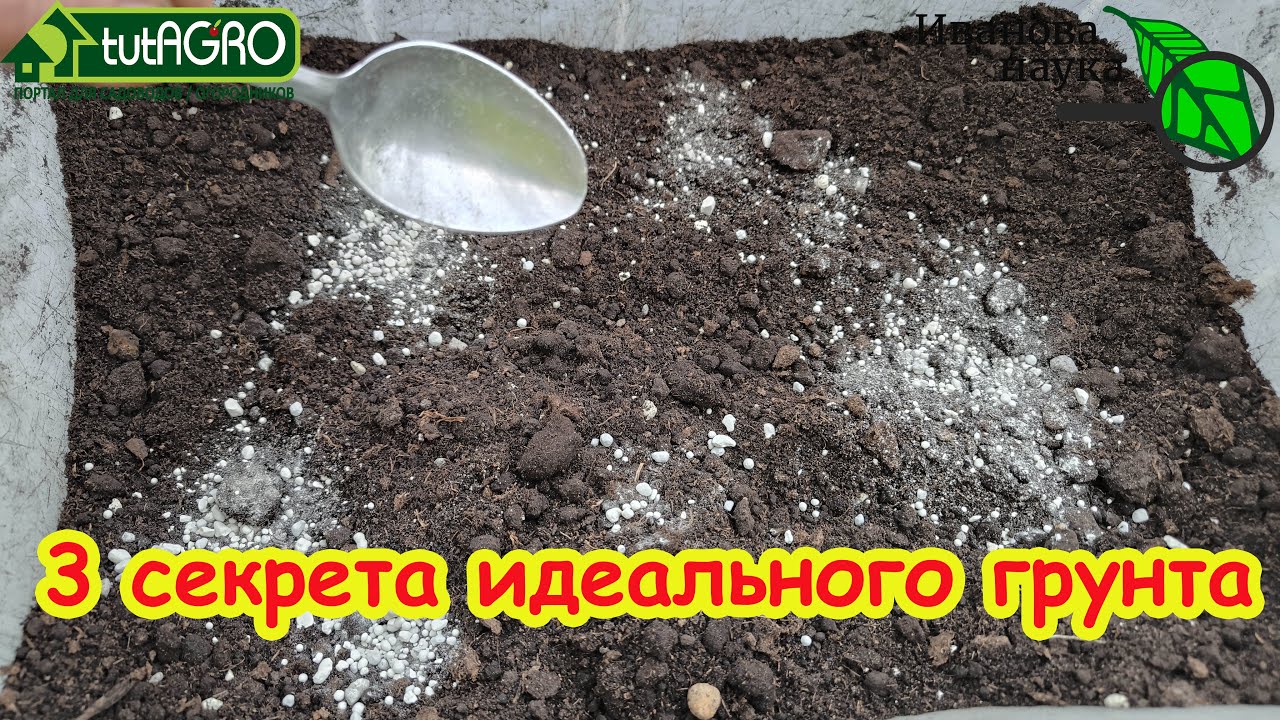 🥄🥄🥄 Всего 3 ЛОЖКИ для идеального грунта. 🌱 Рассада-бомба! 🍅Готовим грунт