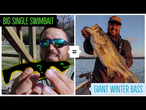 download lagu mp3 mp4 Fish With Attitude Eggs Chart, download lagu Fish With Attitude Eggs Chart gratis, unduh video klip Fish With Attitude Eggs Chart