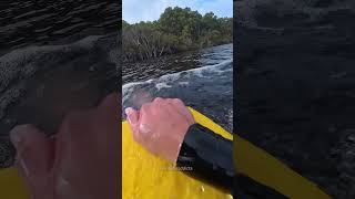 That's One Way to Cross a River
