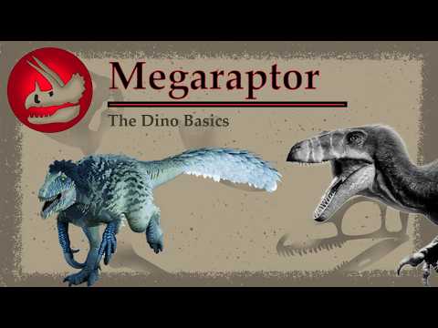 Megaraptor | The Heavily-Armed Hunter | Dino Basics