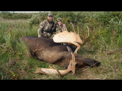 Giant Alaska Moose Down in 1 Day | Husband & Wife Hunt - Stuck N The Rut 214