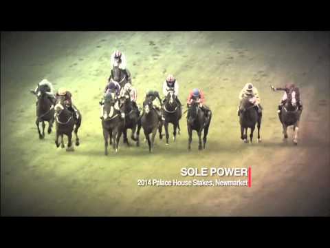 #DubaiRacing- Sole Power returns to Meydan