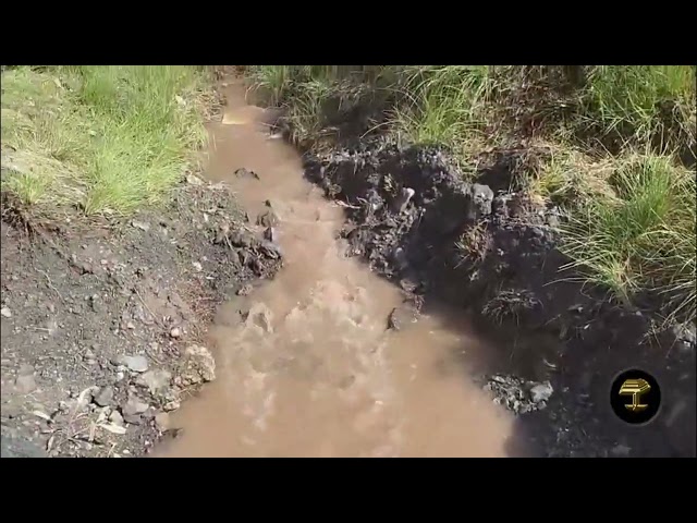 ¿Qué está haciendo el Cabildo de Gran Canaria con el agua?