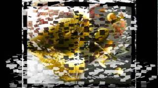 GRUPO DUELO --LA MAGIA DE TU AMOR.wmv