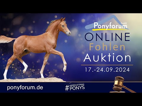 Meehrluft's Da Bin Ich HF v. Darf Ich Bitten NRW / FS Mr. Right