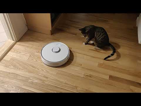 Xiaomi Roborock s50 climbs doorframe and docks