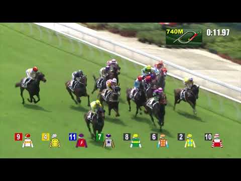 1/10/2022 (56) Big Me - L Currie