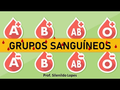 Aula Grupos Sanguíneos