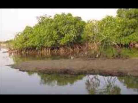 ndamelo sire Ngoyane avec Natou Sarr et N'Deye Seck ( Senegal)