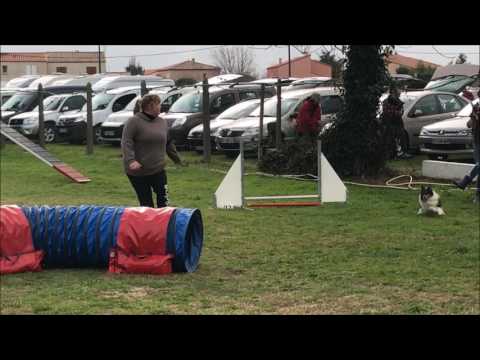 Agility Dream Bompas 12/02/2017