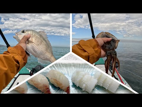 Squid and Snapper Fishing - Mount Martha, Port Phillip Bay