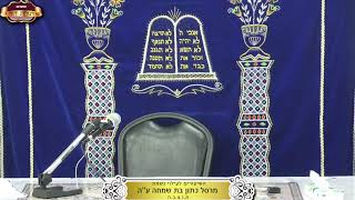 בית המדרש "תורת דוד" ¤ שידור חי ¤ כ"ט חשון תשפ"ו (20.11.2025) (מוסדות תורת דוד) - התמונה מוצגת ישירות מתוך אתר האינטרנט יוטיוב. זכויות היוצרים בתמונה שייכות ליוצרה. קישור קרדיט למקור התוכן נמצא בתוך דף הסרטון