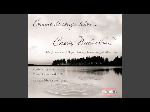 Video thumbnail for La mort des pauvres
