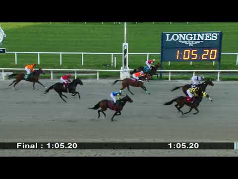 210213 c06 SIN TOCAR